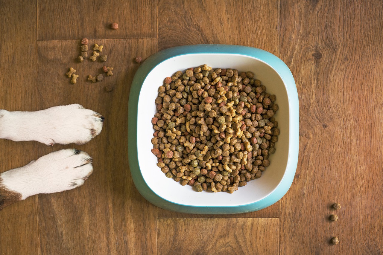 dog food